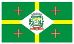 Bandeira do Município